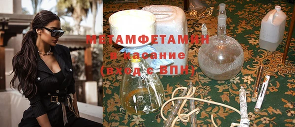 прущие грибы Покачи