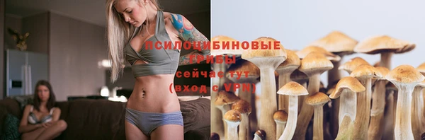 apvp Алзамай