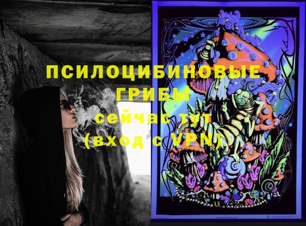 apvp Алзамай