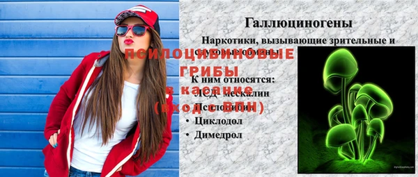 apvp Алзамай