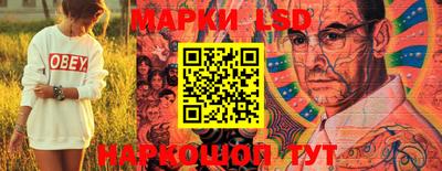 Альфа ПВП Можга