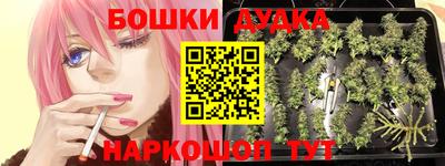 Альфа ПВП Можга