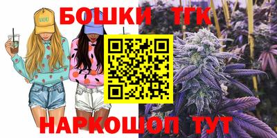 стафф Моздок