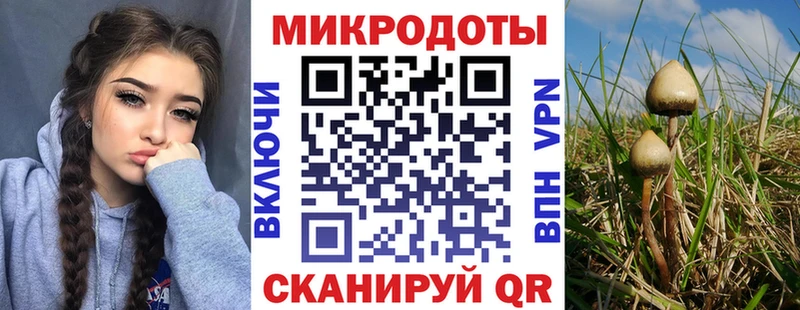 сайты даркнета формула  Удомля  Псилоцибиновые грибы мухоморы 